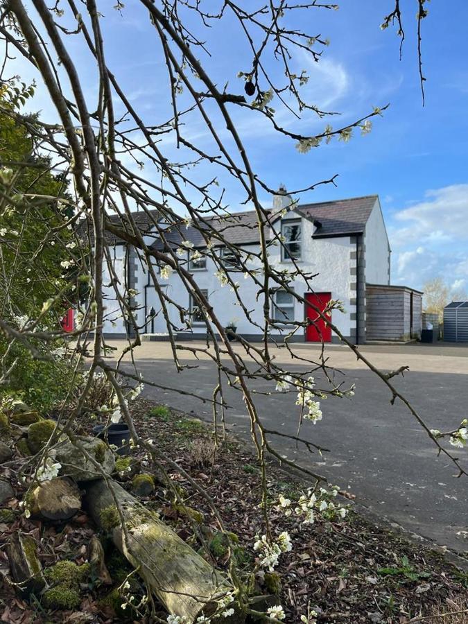 Willow House Bed & Breakfast And Orchard Studios Self Catering Limavady Luaran gambar